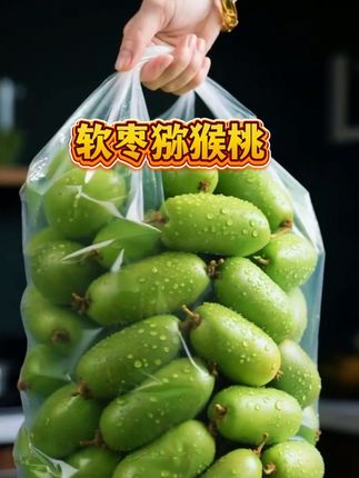 软枣猕猴桃,你吃过吗?一年就只能吃一季。#优质农产品 #应季水果 #强烈推荐 #软枣猕猴桃 #快来一起尝个鲜