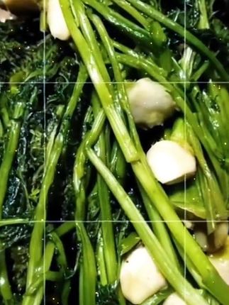 2025年8月新腌芥菜英,大缸腌制咸口,泡淡之后凉拌或炖豆腐#好物推荐#新款必备#精选推荐