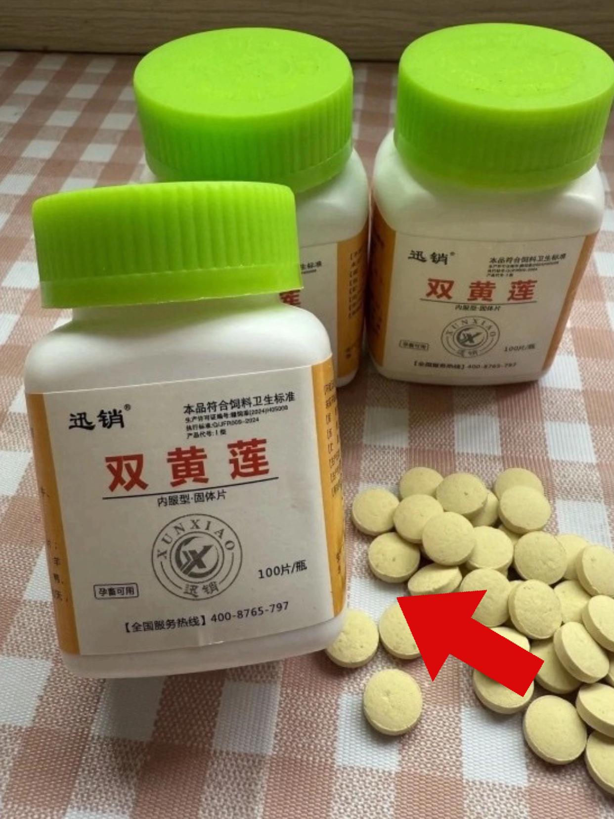 #科学养宠攻略 #铲屎官的乐趣 #萌宠出道计划 #萌宠 #新手养宠指南