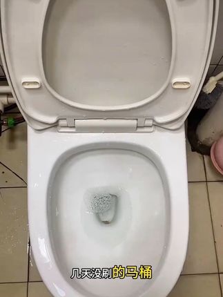马桶清洁不用愁#卫生间好物 #花恩诗