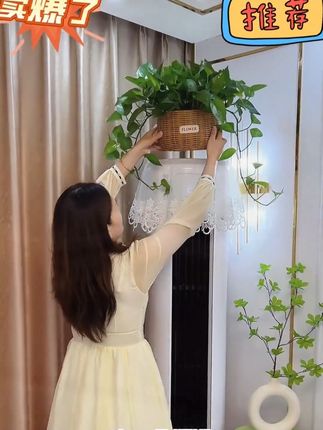 草编蝴蝶兰花盆摆件绿箩花盆仿真纯花手工编织专用花盆编制#花盆 #草编花盆摆件 #手工编织 #好物推荐 #超便宜超划算好东西一起分享 @抖音小助手 @抖加🔥上热门🔥dou+🔥热点宝