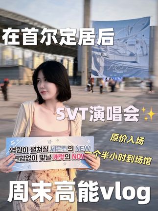 追星女定居首尔后的周末就这么爽啊! 来韩国三年半的时间三年都是和seventeen一起度过的 #seventeen #seventeen演唱会 #海外生活 #韩国生活 #kpop人集合