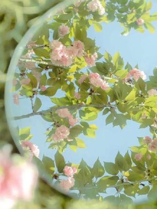 #杜克和一哥 #杜克环游世界 #孟加拉的故事 #交换世界计划