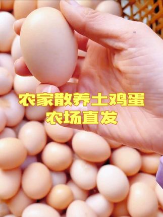 农家散养土鸡蛋,农场直发,营养美味,营养又健康,你值得拥有!
