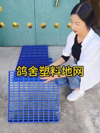 #鸽舍地网 #鸽舍塑料地网 #鸽具用品