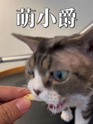 萌小爵冻干棒新品冲量,现在特划算#萌小爵 #冻干棒 #羊奶冻干棒 #宠物零食