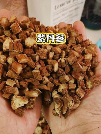 #紫丹参#丹参#丹参茶