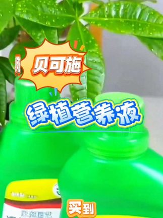 贝可施绿植营养液#绿植盆栽 #家庭种植 #强烈推荐 #阳台盆栽#绿植