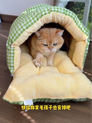 像被窝一样暖和的封闭宠物睡袋窝,这个价格每个毛孩子都值得拥有!#萌宠 #萌宠推荐官 #萌宠好物