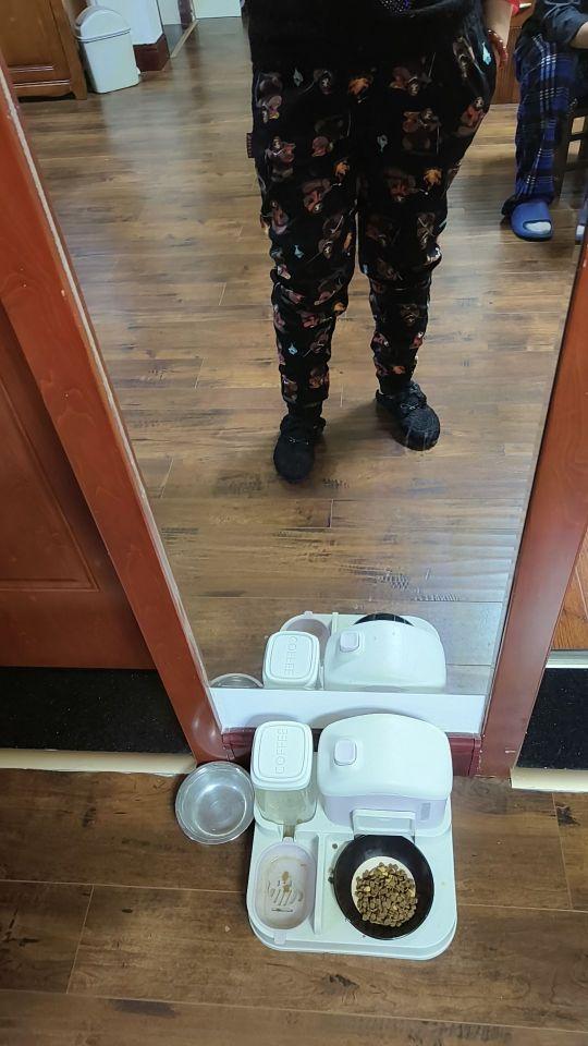 真的让我意想不到的好,棉的,还有商标,质量没得说,又买了两个码,送妈妈一件,送姨姨一件#我在抖音买买买