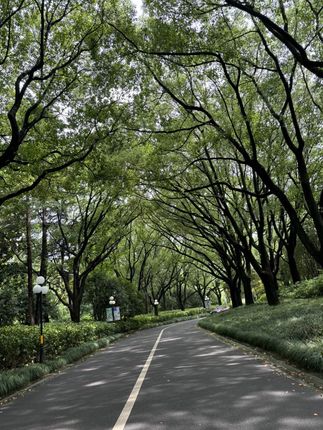 #气质穿搭 #高端大气上档次这也太漂亮了 #夏日穿搭 #穿出自己的风格 @抖音Dou+上热门