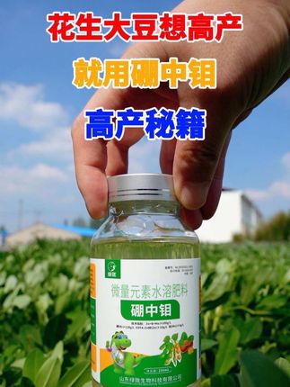 别人家的花生产量总是那么高,原来是用了硼中钼!!#花生种植#花生管理#三农#花生种植管理技术 #农业技术推广
