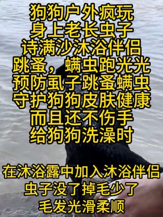 #狗狗 #养狗经验分享 #养狗的乐趣