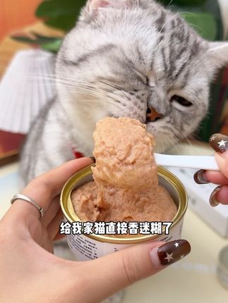 打开就是满满的肉丝儿 浓郁的高汤全是营养猫咪也嘎嘎喜欢吃#纽森主食罐 #纽森猫主食 #猫罐头  #罐头 #养猫新人