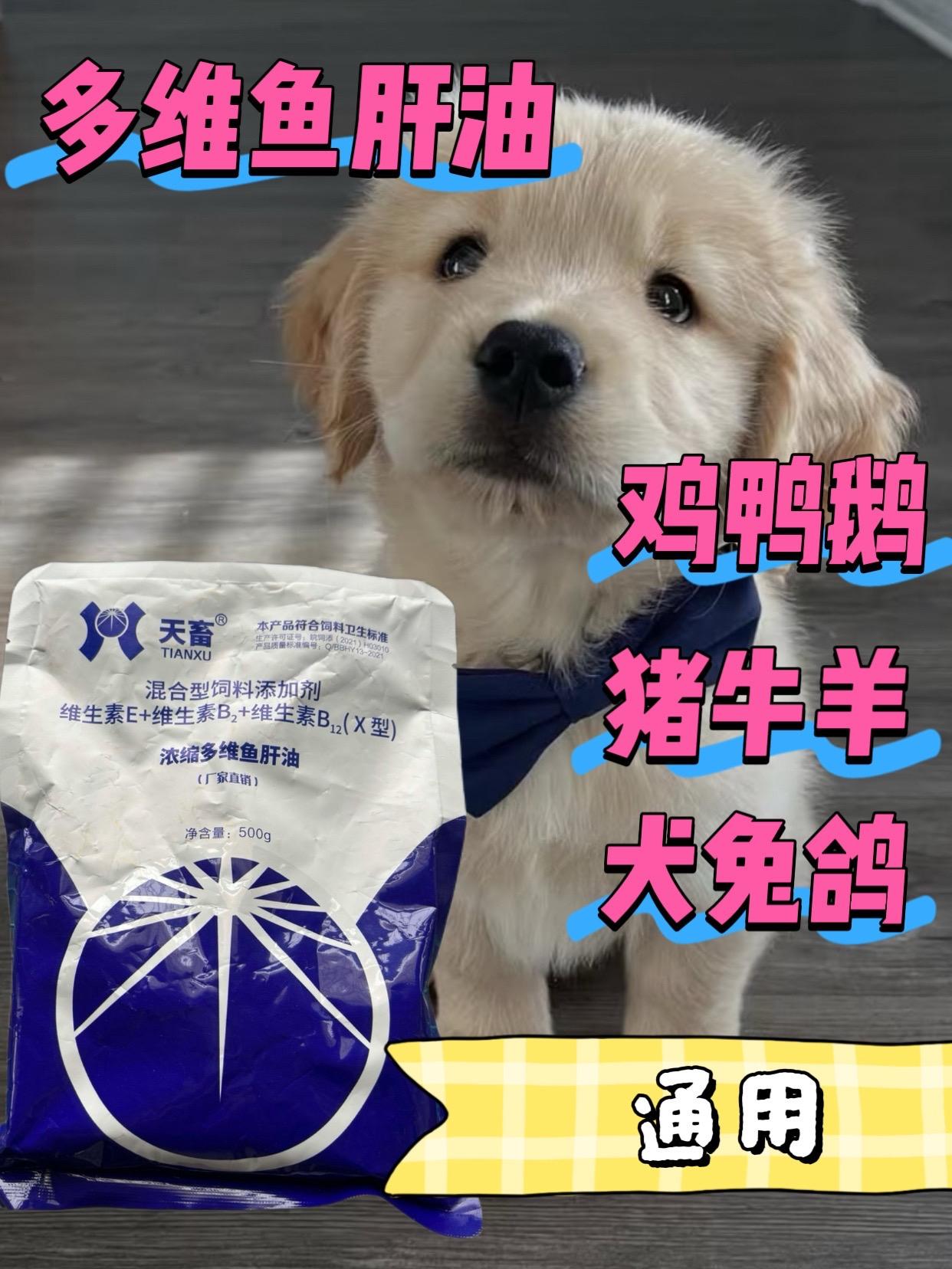 #宠物健康知识 #宠物狗狗视频 #养狗 #养狗的乐趣 #养狗经验分享