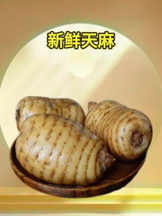 贵州特产新鲜乌天麻现挖高山天麻煲汤纯天然生长现货先发价格划算