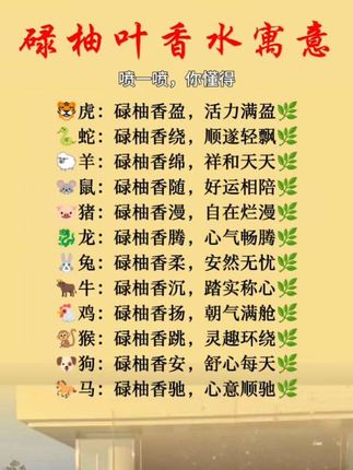 #正能量 #香水推荐 #碌柚叶香水#碌柚叶香#传统文化
