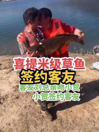 #擒龙诀荒野挨饿王大鱼挑战赛 恭喜小贺喜提米级巨物草鱼,单尾最重20.6斤,客友老刘兑现承诺,直播签约小贺,可喜可贺,双喜临门!#荒野求生 #荒野钓鱼#客友钓具 #客友老刘