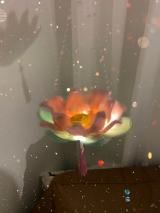 这不需要很多很多钱!但需要很多很多爱!#手工diy #扭扭棒 #莲花灯 #中秋