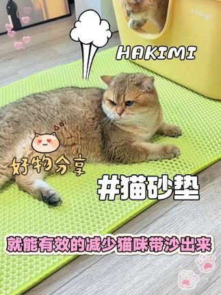 铲屎官的快乐就是不用天天打扫猫砂!后悔没早点挖到这个猫砂垫~#萌宠好物 #猫砂垫 #养猫新手 #萌宠 @DOU+上热门 @抖加🔥上热门🔥dou+🔥热点宝