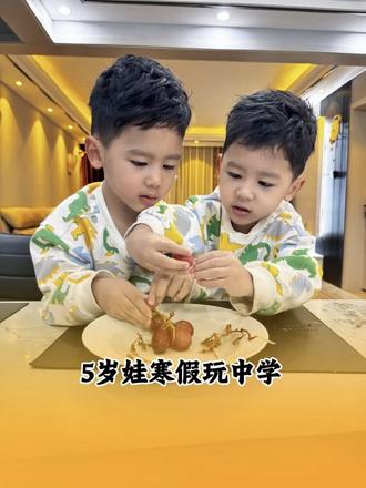 幼儿园5岁小孩哥寒假的一日怎么安排📖 #学习vlog打卡 #全科启蒙#边玩边学 #幼儿园小朋友 #寒假安排