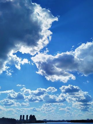 裤子裤脚改短神器免缝纫免熨烫固定贴自粘裤腿贴夹挽边扣太长调节#裤脚改短神器 #免缝纫裤贴 #裤腿调节 #裤子神器 #时尚搭配