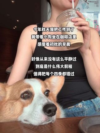到底是什么样的伟大前程值得把小狗和四季都错过 #初秋穿搭 #秋天 #小狗的爱是永远的 #到底是什么伟大前程值得把每个四季都错过 #裸辞