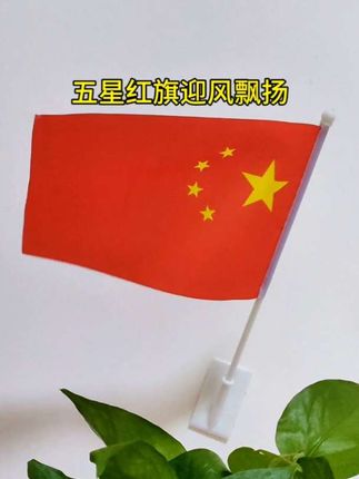 #五星红旗迎风飘扬 #五星红旗 #国旗 #国庆 #国庆节