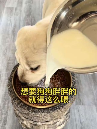 黄金今日金价 #财经 #巴菲特 #股市 #黄金