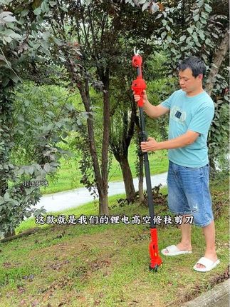 德国进口电动修枝剪配合加长伸缩杆,高处的树枝也能轻松修剪#园林工具 #电动修枝剪#修枝剪 #果树修剪