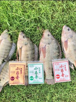 罗非 冻饵#钓鱼饵料 #鱼饵推荐 #饵料窝料 #饵料推荐 #钓鱼饵料推荐