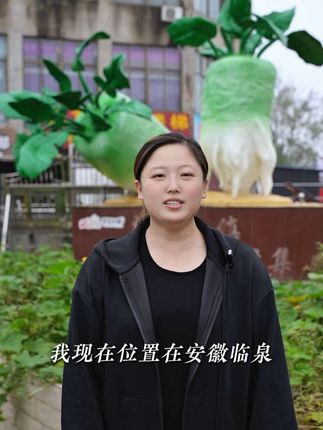 #滑集青石桥芥菜丝 #滑集芥菜丝 #临泉特产芥菜丝 如果觉得我们的芥菜丝不好吃,联系客服,支持试吃,这就是我们滑集青石桥芥菜丝对质量的保证。