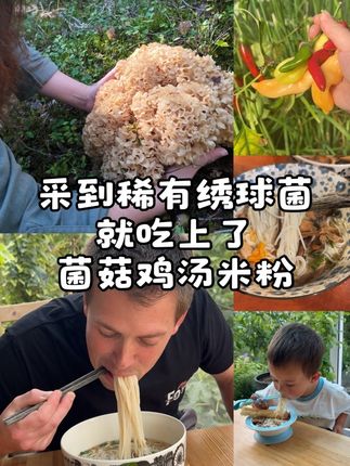 在森林采到了稀有的绣球菌,炖一锅美味菌菇鸡汤煮米粉。#北欧生活#采蘑菇#佩尔赫乔融雪面膜