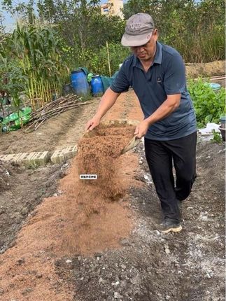 #土壤板结改良方法#种植小技巧 #发酵稻壳#稻谷壳#种子发芽