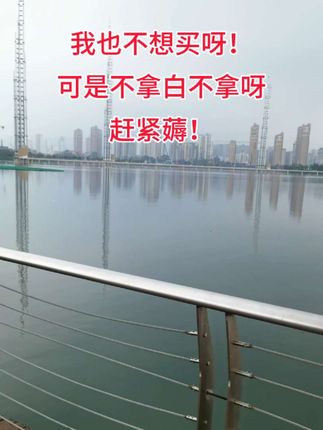 #好物分享 #快充 #数据线保护套 #充电器