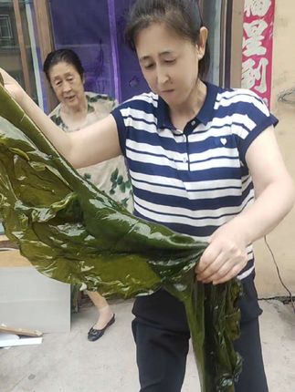 海带13.8五斤
