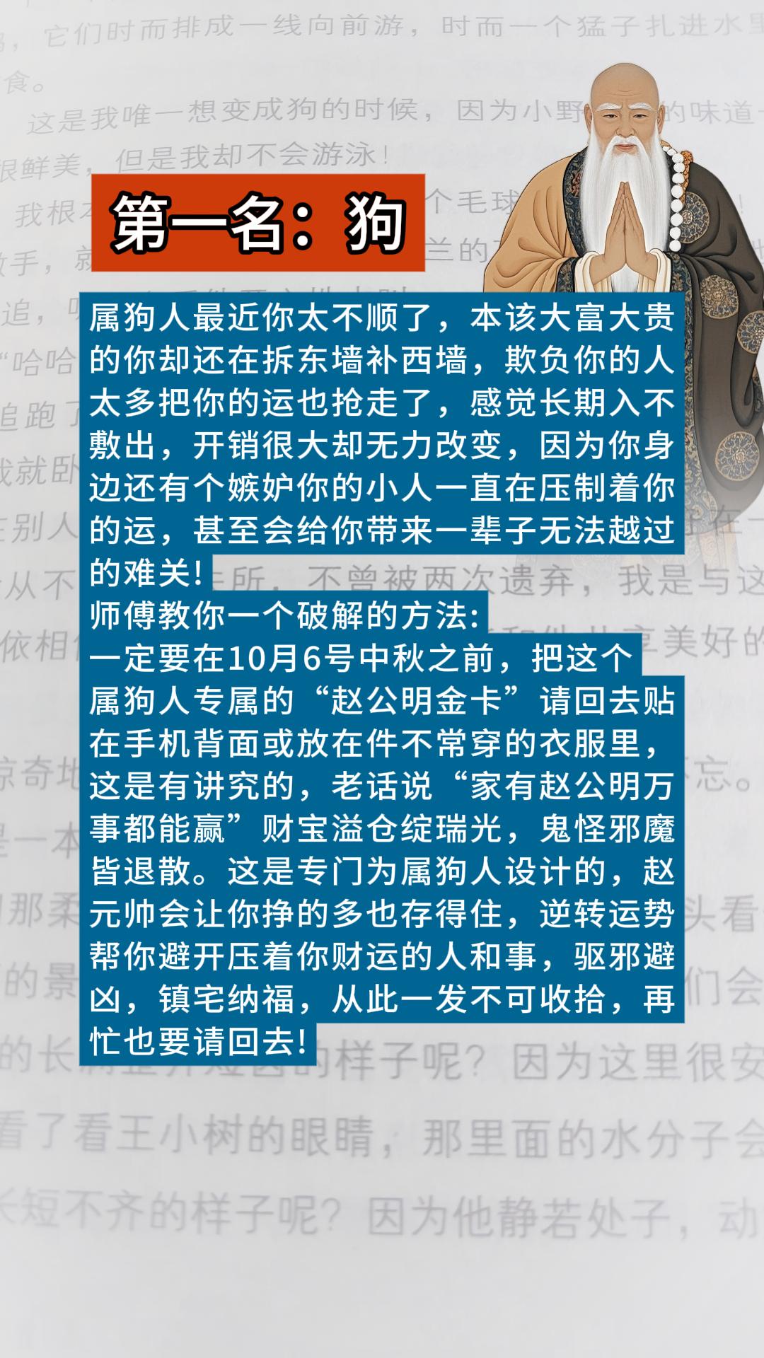 #1970年的狗 #1982年的狗 #1994年的狗