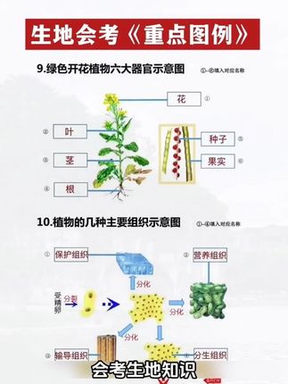 生地考试复习没头绪?别慌!万唯新书《生地识图填图速记》帮你搞定!#学霸秘籍 #八年级 #生地会考 #生地填图 #生地政史提分