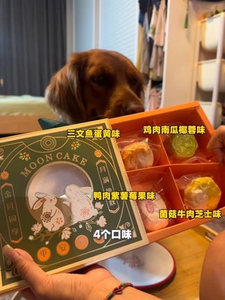 中秋节专属于毛孩子们仪式感哦#宠物月饼