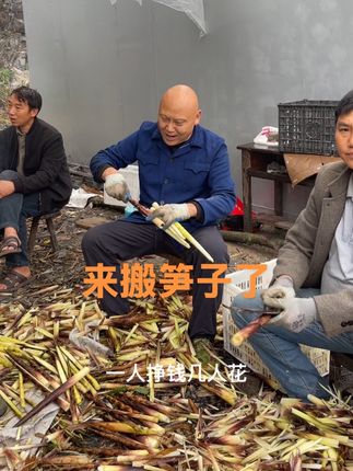 回来打笋子了 年过五十不敢歇,老人要顾、孩子要帮,独自挣钱撑全家,责任半分没少,这人生滋味,满是沉甸甸的担当。#桐梓方竹笋 #桐梓村晚#江怀乡村行 #江怀316演员