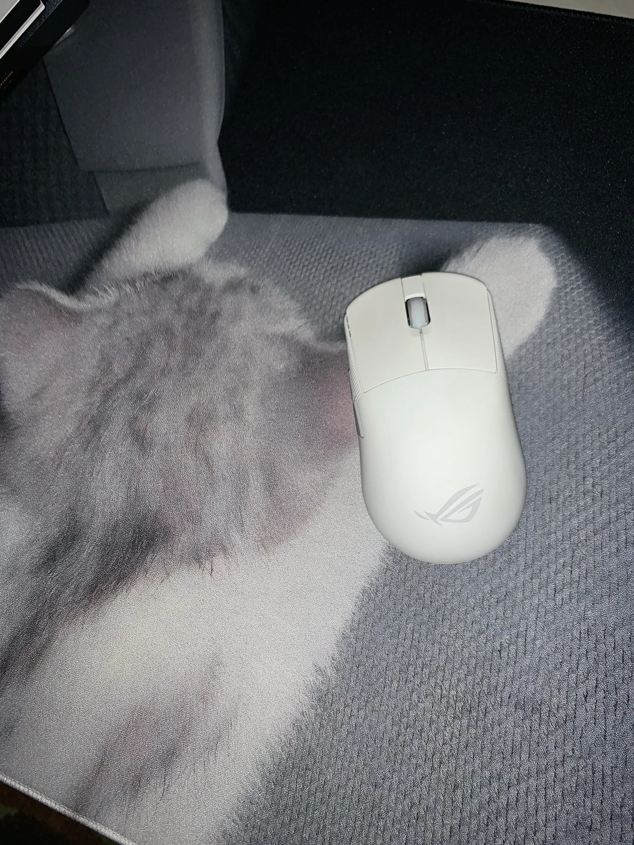 @我不是垫神自研店 小猫细节做的很好 垫神很嫩 #鼠标垫 - 抖音