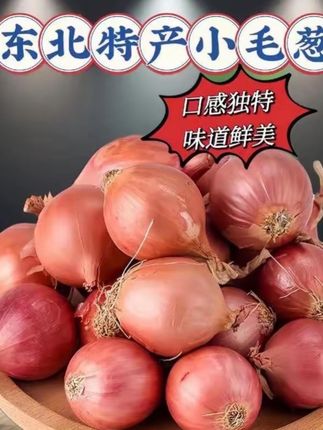 #毛葱头 #优质农产品 #强烈推荐 #东北小毛葱 #超好吃