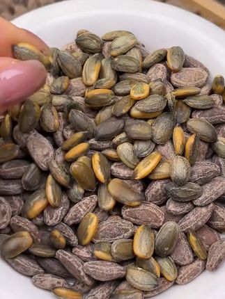 这个吊瓜子磕起来特别香,又酥又脆,今年当季的新货大颗粒吊瓜子,追剧下酒吃都适合。#吊瓜子#瓜子 #又香又酥又脆 #好吃到停不下来 #零食推荐