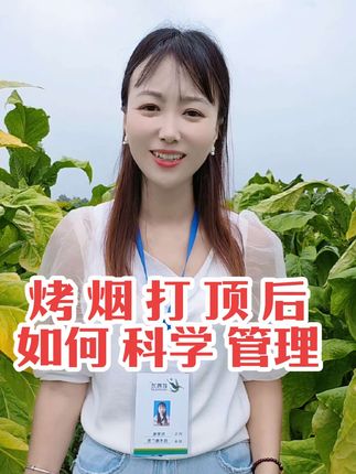 #烤烟种植技术与#携手助农 打顶后的烤烟,你是如何管理呢?