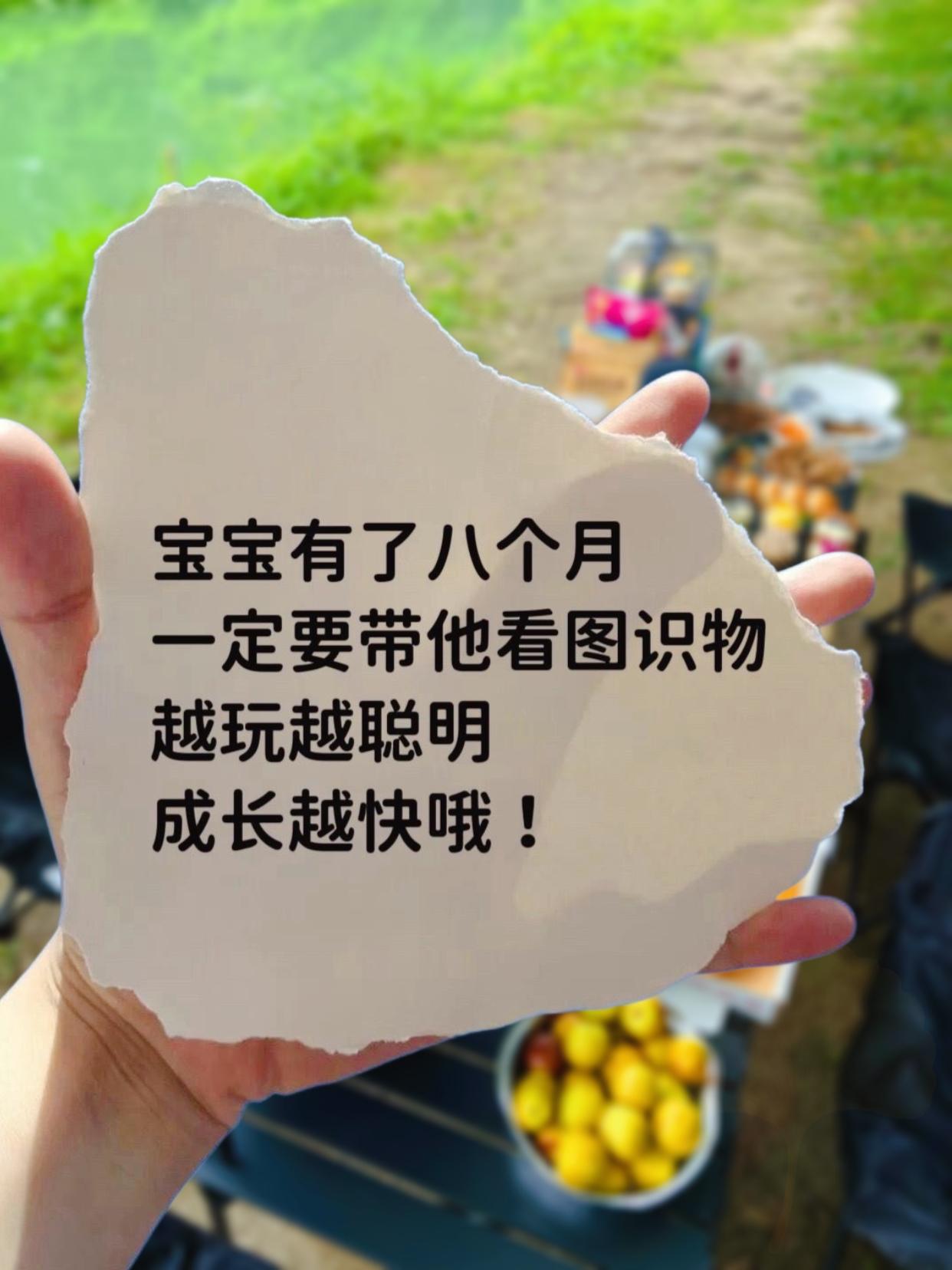 麻麻们~宝宝八个月之后,多花点时间陪他玩看图识物,帮助宝宝认识生活中的交通工具,水果蔬菜,数字,动物等,宝宝越玩越聪明#启蒙早教#启蒙教育#宝妈分享