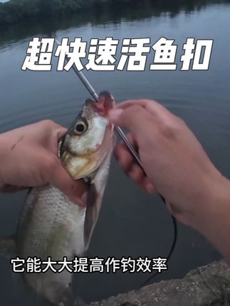 不打结的活鱼扣,平常扣一只的时间他能口四五只了,钢丝绳主体,坚固耐用,尾部弹簧锁扣,取鱼时,一群直接下来,特别方便#活鱼扣 #便携活鱼扣 #活鱼扣锁
