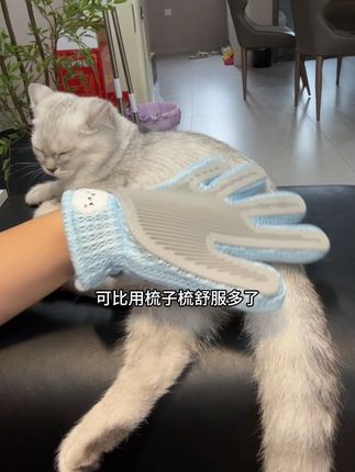 养宠人必备撸毛神器#撸猫手套 #撸猫神器#养宠人必备