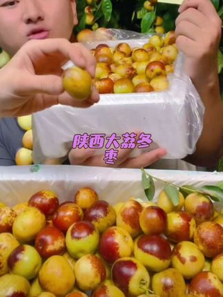 陕西大荔冬枣新鲜大枣鲜枣鲜果应当季整箱特级脆枣子果园直发#优质农产品 #冬枣#大荔冬枣 #应季水果 #枣子