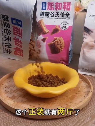 #猫粮推荐 #宠物粮 #猫咪的日常