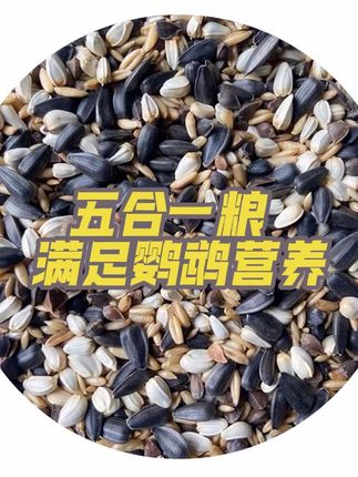 五合一鹦鹉粮食#鹦鹉粮食 #鹦鹉混合粮 #鹦鹉用品 #鹦鹉零食 #鸟粮